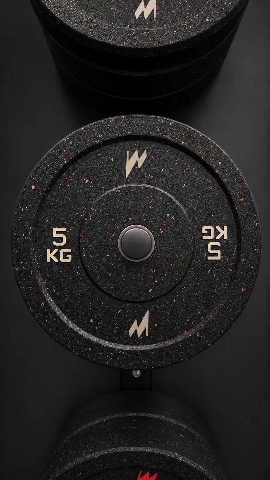 Disco PowerWall 5 kg